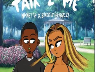 Nanette Talk 2 Me Mp3 Download