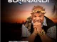 Somnandi Akuyena Owakini Album Download