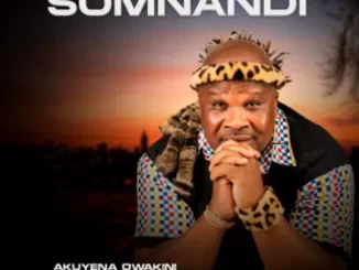 Somnandi Ngawa Ngashelelela Mp3 Download