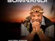Somnandi Ngawa Ngashelelela Mp3 Download