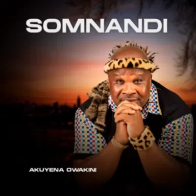 Somnandi Ngawa Ngashelelela Mp3 Download