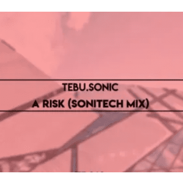 Tebu.Sonic A Risk Mp3 Download