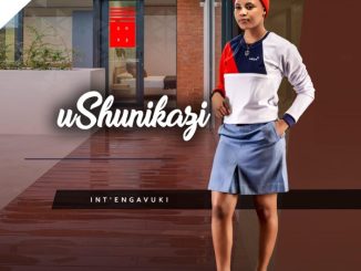 Ushunikazi Nginguzulu Mp3 Download