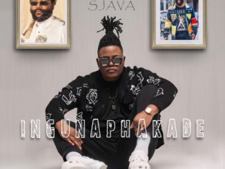 Zaba Ingunaphakade Mp3 Download