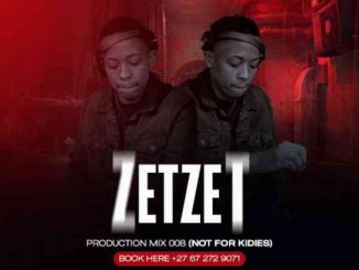 Zetzet 100% Production Mix 008 Download