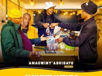 Amavikelambuso Amagwiny’ashisayo Album Download