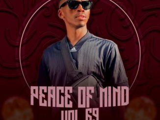 DJ Ace Peace of Mind Vol 69 Mix Download