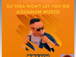 DJ Tira Wont Let You Go Mp3 Download