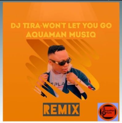 DJ Tira Wont Let You Go Mp3 Download