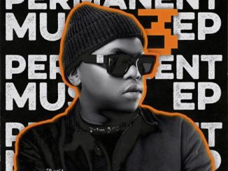 Dlala Thukzin Permanent Music 3 EP Download