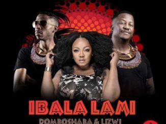 Domboshaba Ibala Lami Mp3 Download