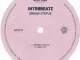 Intr0beatz Dream Status EP Download