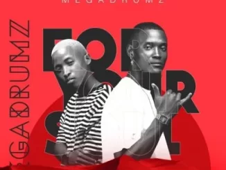 Megadrumz For Your Soul Album Download