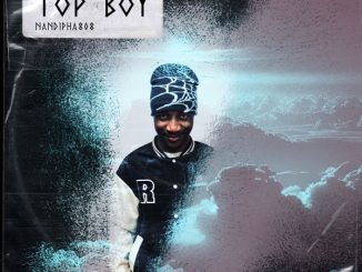 Nandipha808 Top Boy Album Download