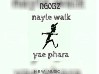 Ngobz Nayle Walk Revisit Mp3 Download