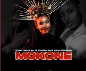 SnowFlake The Vocalist ‎Mokone Mp3 Download