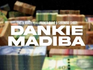 TNS Dankie Madiba Mp3 Download