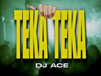 DJ Ace Teka Teka Mp3 Download