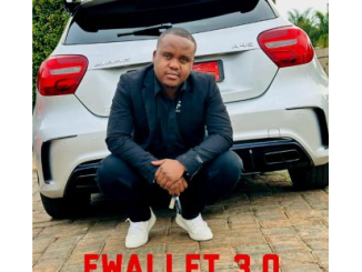 DJ Coach Ewallet 3.0 Mp3 Download