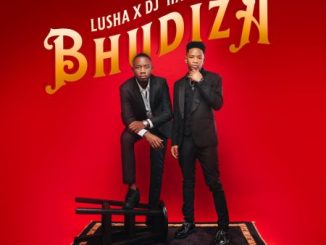 DJ Harvey Bhudiza Mp3 Download