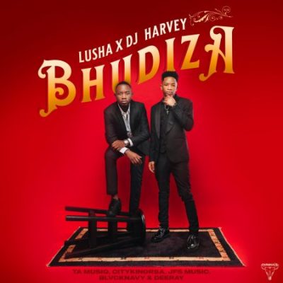 DJ Harvey Bhudiza Mp3 Download