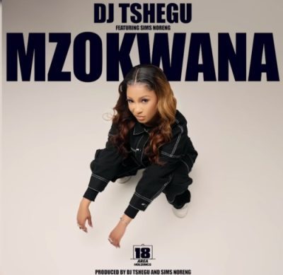 DJ Tshegu Mzokwana Mp3 Download