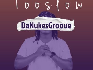 DaNukes Groove Too Slow Mp3 Download