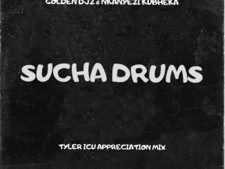 Golden Djz Sucha Drums Mp3 Download