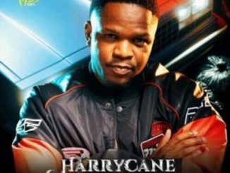 HarryCane Whistle Song Mp3 Download