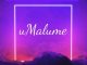Pexi-Tonic SA uMalume Mp3 Download