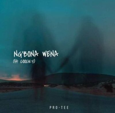 Pro-Tee Ng’bona Wena Mp3 Download