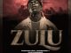 Pushkin RSA ZULU Mp3 Download