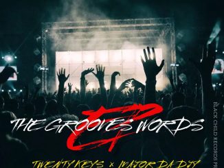 Twenty Keys The Grooves Words EP Download