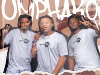 AmaTycooler Ingonyama Mp3 Download