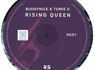 Buddynice Rising Queen Mp3 Download