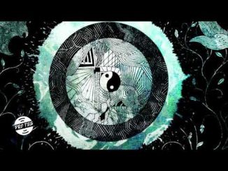 Deejay Zebra Remember Mp3 Download