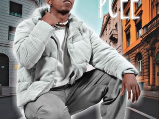 Pcee Thula Mabota Mp3 Download