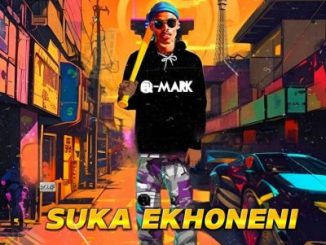Q-Mark Pirara Mp3 Download