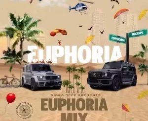 Vigro Deep Euphoria Mix Download