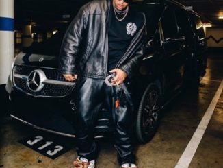 Da L.E.S 313 Freestyle Mp3 Download