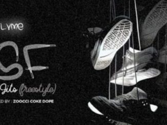 Flvme The Shoe Fits Mp3 Download