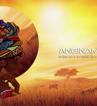 Shona SA Anginamahloni Mp3 Download