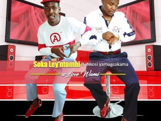 Soka Leyntombi Ulove Wami Mp3 Download