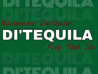Badenator De'Healer Di'tequila Mp3 Download