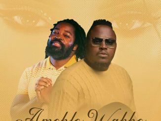 Big Zulu Amehlo Wakho Mp3 Download
