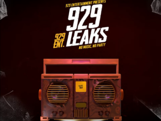 Busta 929 Ungreateful People Mp3 Download