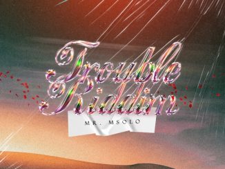 Mr. Msolo PAPiLO Mp3 Download