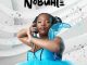 Nobuhle Ukhona Mp3 Download