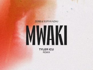 Zerb Mwaki Mp3 Download