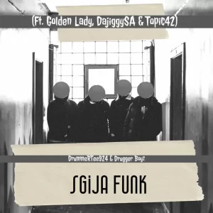 DrummeRTee924 Sgija Funk Mp3 Download